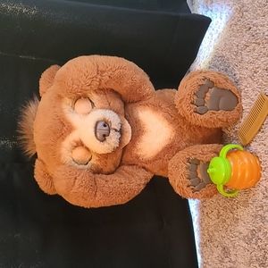 Cubby the Curious Bear